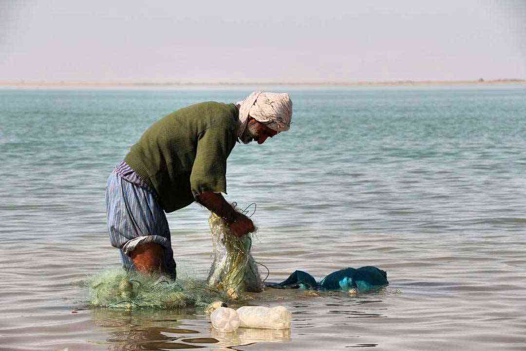 تور چابهار |تور نوروز 95| اجرای دوم تور چابهار |تور نوروز 95| اجرای دوم