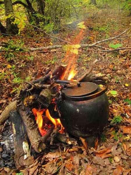 تور یکروزه جنگل راش |تور تعطیلات آبان| تور یکروزه جنگل راش |تور تعطیلات آبان|
