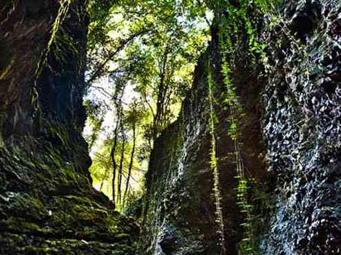 تور یک روزه جنگل سرپوش تنگه |هفته سوم فروردین| تور یک روزه جنگل سرپوش تنگه |هفته سوم فروردین|