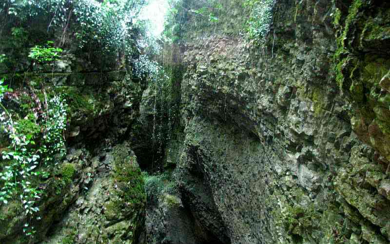 تور یک روزه جنگل سرپوش تنگه |هفته سوم فروردین| تور یک روزه جنگل سرپوش تنگه |هفته سوم فروردین|