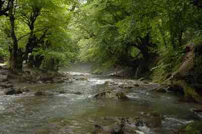 رودخانه نوردی شیرین رود |تور یک روزه| رودخانه نوردی شیرین رود |تور یک روزه|