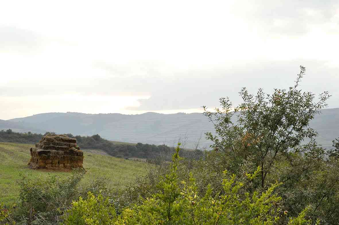 تور ترکمن صحرا و قبرستان خالد نبی تور ترکمن صحرا و قبرستان خالد نبی