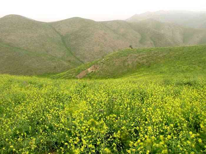 تور ترکمن صحرا تور قبرستان خالد نبی تور ترکمن صحرا تور قبرستان خالد نبی