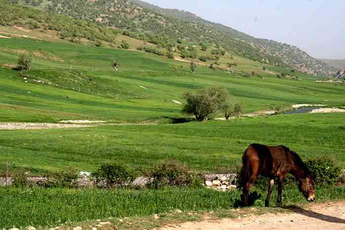 تور نوروز 94 تور لرستان و خوزستان تور نوروز 94 تور لرستان و خوزستان